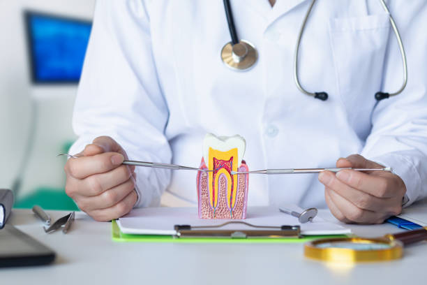 Best Emergency Dentist for Special Needs Patients in Lake Andes, SD